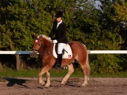 IMG_7570_web